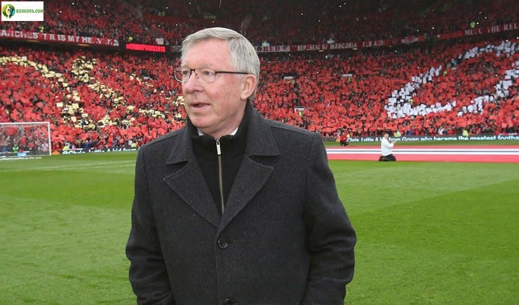 huấn luyện viên sir alex ferguson huấn luyện viên sir alex ferguson